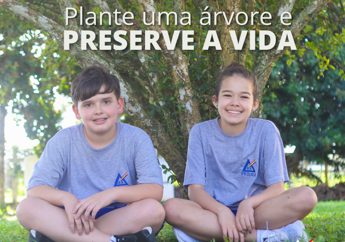 Post Instagram Dia da Árvore Plante e Preserve Minimalista Verde e Branco